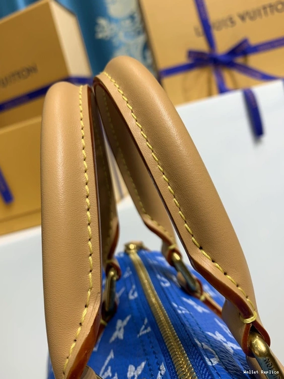 Affordable Vuitton 25 SPEEDY Louis 0810